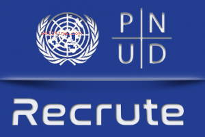 Recrutement d’un Consultant national en Gestion de Bases de Données par le PNUD